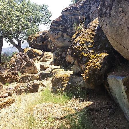 Apartmán Flor Da Ramila Marvão Exteriér fotografie